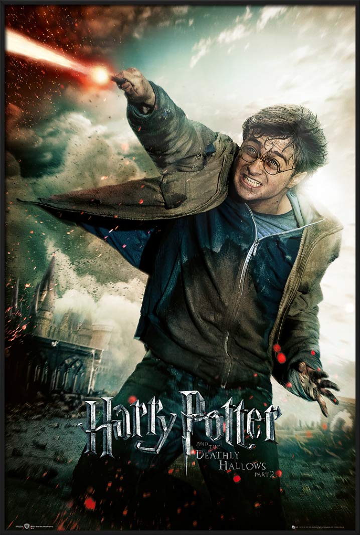 Harry Potter 8